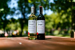 Какое вино полезнее белое или красное?