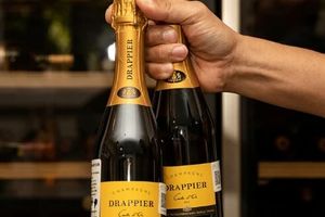 Шампанське Драп’є Карт Д’ор брют. Drappier Carte D`or Brut. 0,75л