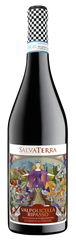 Valpolicella Ripasso DOC (красное сухое вино)