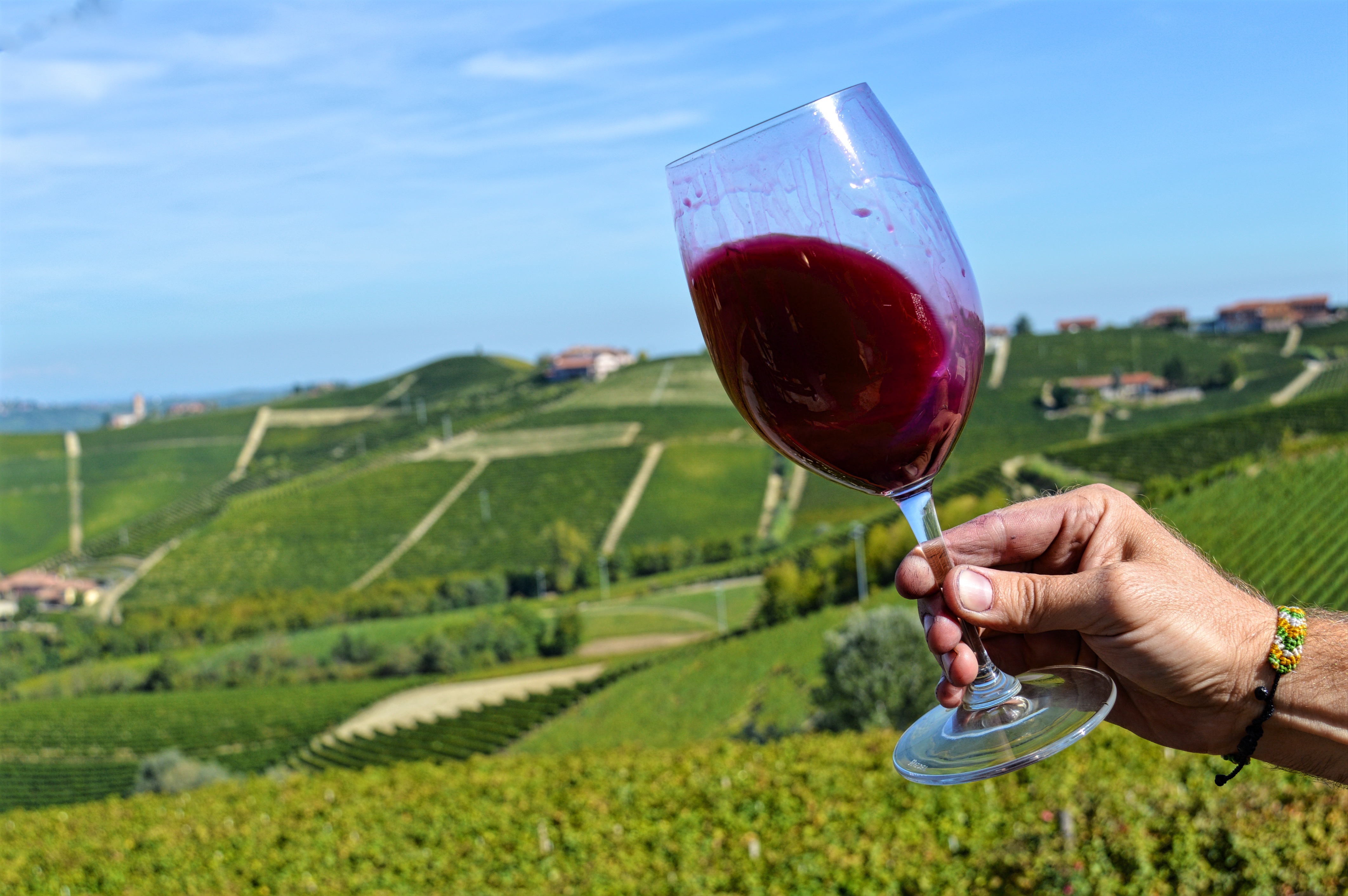 Общественная вина. Пьемонт вина Италии. Piemont, Италия винодельня. Итальянское красное вино Пьемонте. Винодельни Тосканы.